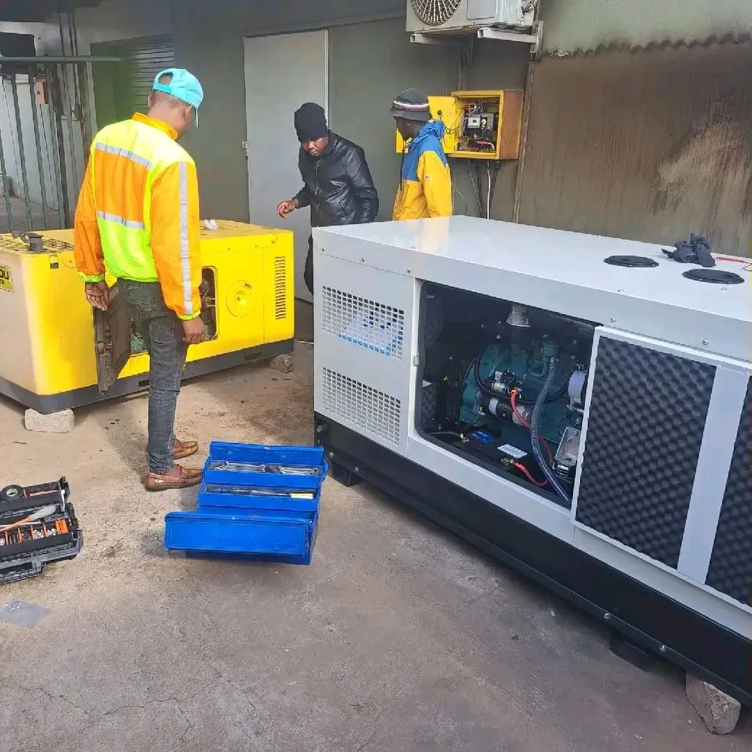 Generator repair technician diagnosing a diesel generator fault in Gauteng